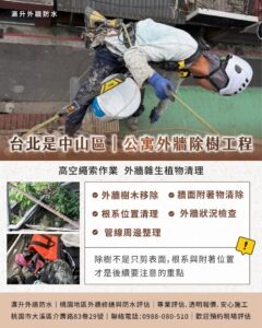 台北市中山區外牆除樹工程施工 台北市中山區外牆除樹工程施工